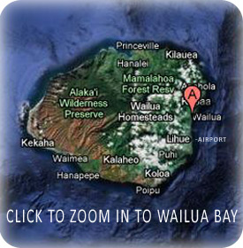 Wailua Bay Kauai Vacation Rental