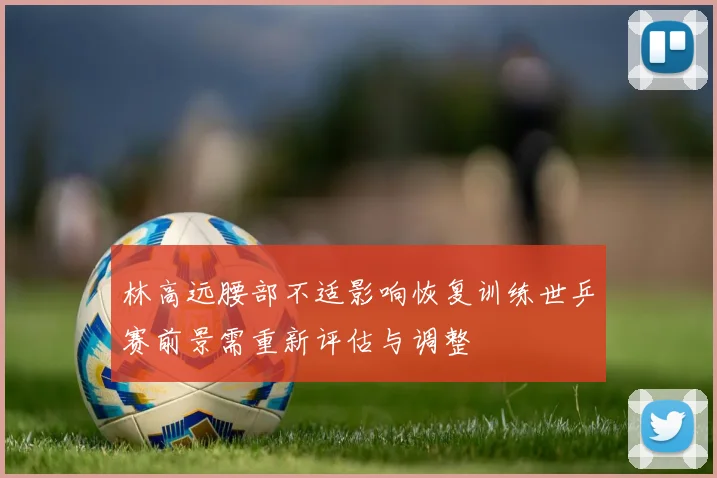 林高远腰部不适影响恢复训练世乒赛前景需重新评估与调整